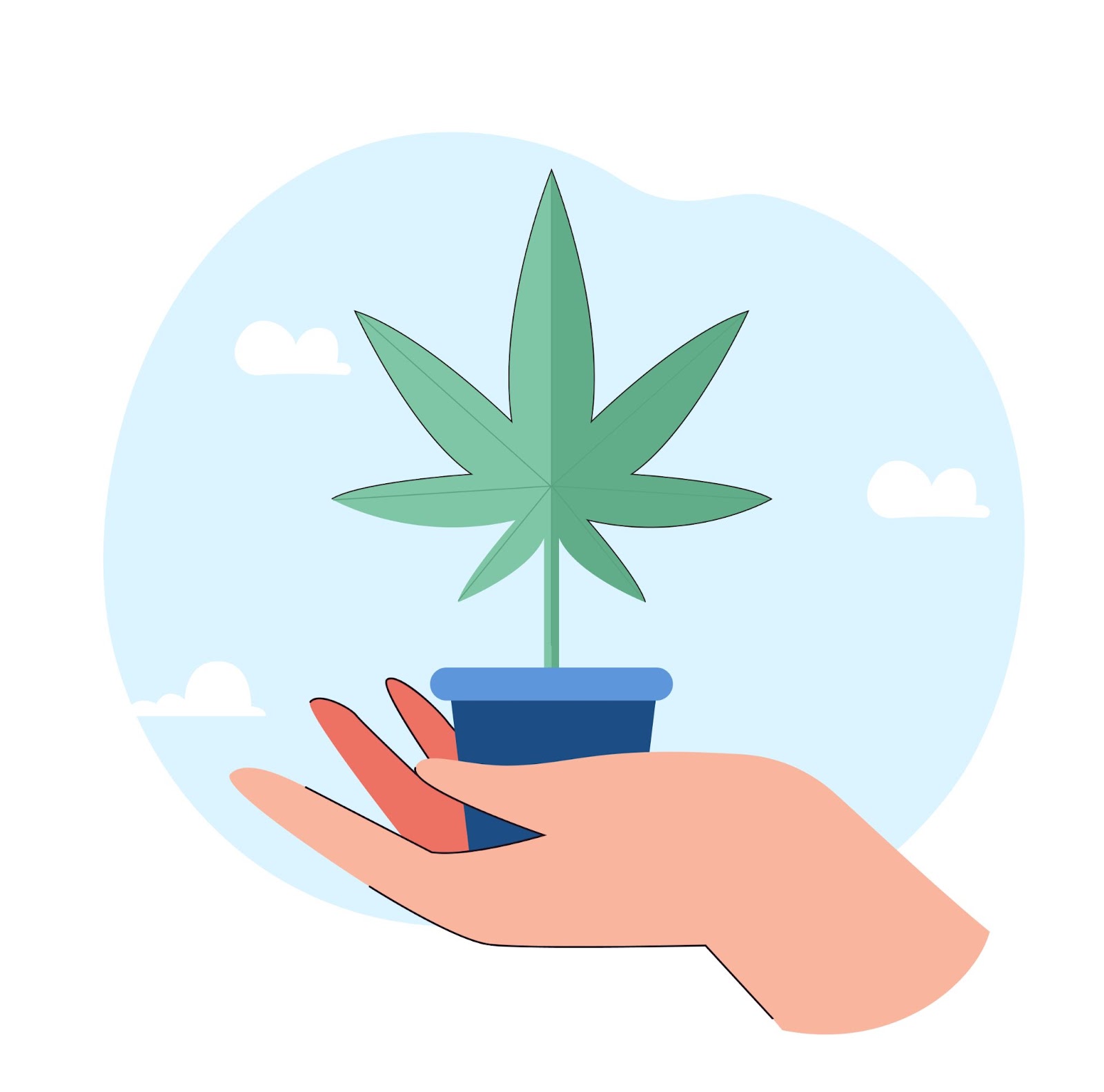 Cannabis Leaf Curl Down